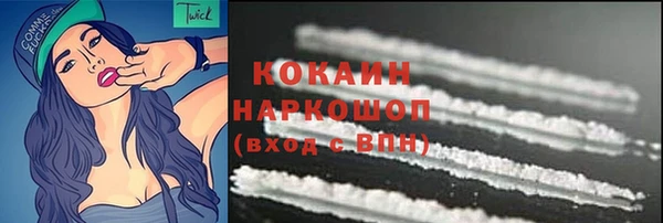 соль ск Переславль-Залесский