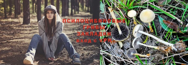 винт Аркадак