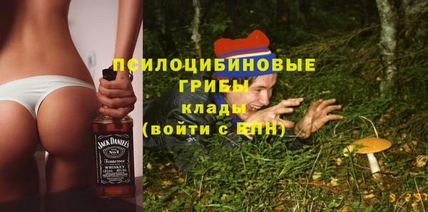 соль ск Переславль-Залесский