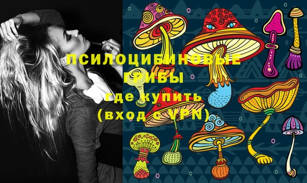 прущая мука Арсеньев